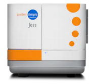 Jess全自动多功能蛋白质表达定量分析系统