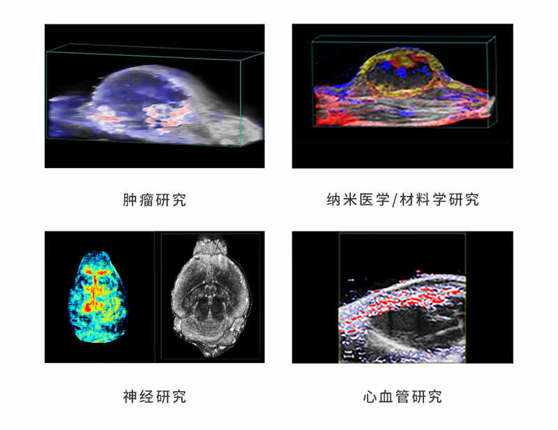 小动物光声超声成像应用